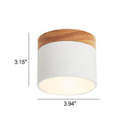 Scandinavian Macaron LED Ceiling Light | Wooden Accent Flush Mount