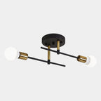 Modern 2-Light Ceiling Lamp | Black & Gold Flush Mount Chandelier