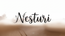 nesturi-logo